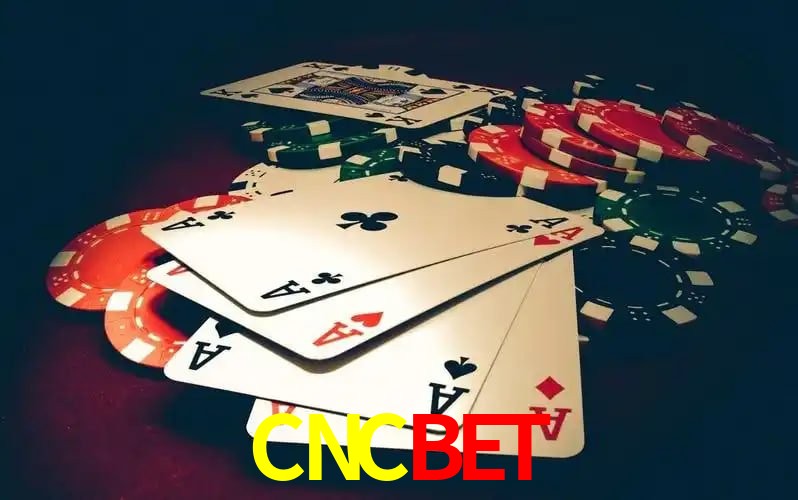 CNCBET Brasília - Betting Features