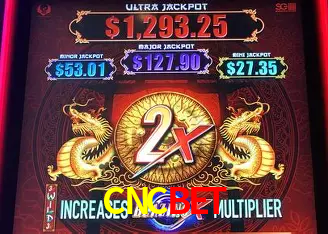 CNCBET Belo Horizonte - VIP Casino